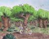 Barklay Oakson Rides his Wheelmachine